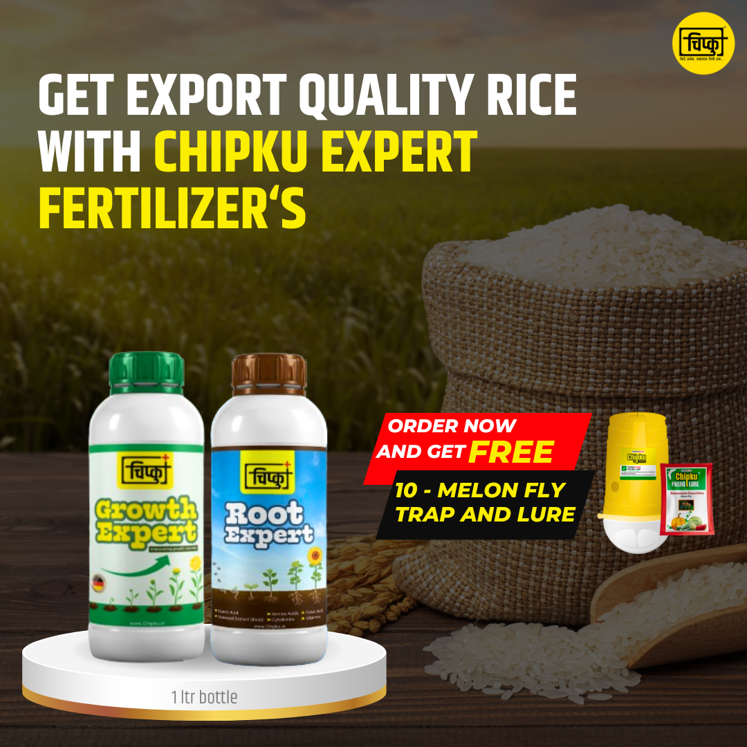 Root Expert and Growth Expert Combo Power - 500 ml each