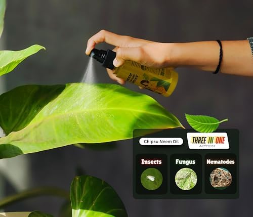B Natural Herbal Pureneem Spray 100ml | Assured Results for Mealy Bugs 100 ml pack of 2