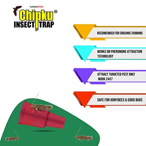 Chipku-pheromone Lure for Tomato Leaf Minor (TLM) (Tuta Absoluta) (10)
