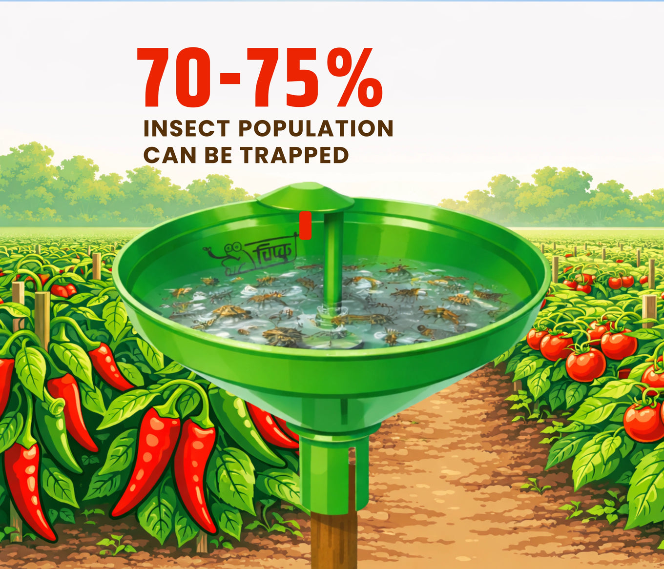 Chipku- Pheromone Water Trap with Tuta Absoluta Lure for Catch Moth Tomato Leaf Minor-Pack Of 6