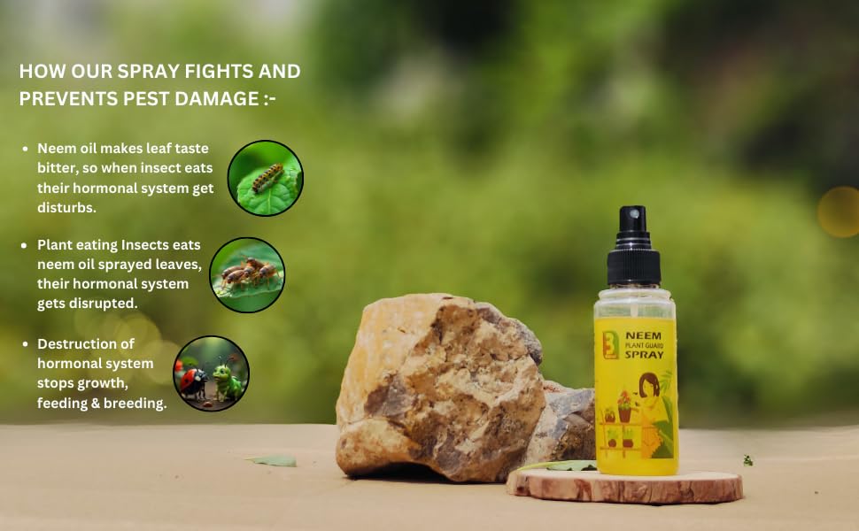 B Natural Herbal Pureneem Spray 100ml | Assured Results for Mealy Bugs 100 ml pack of 2