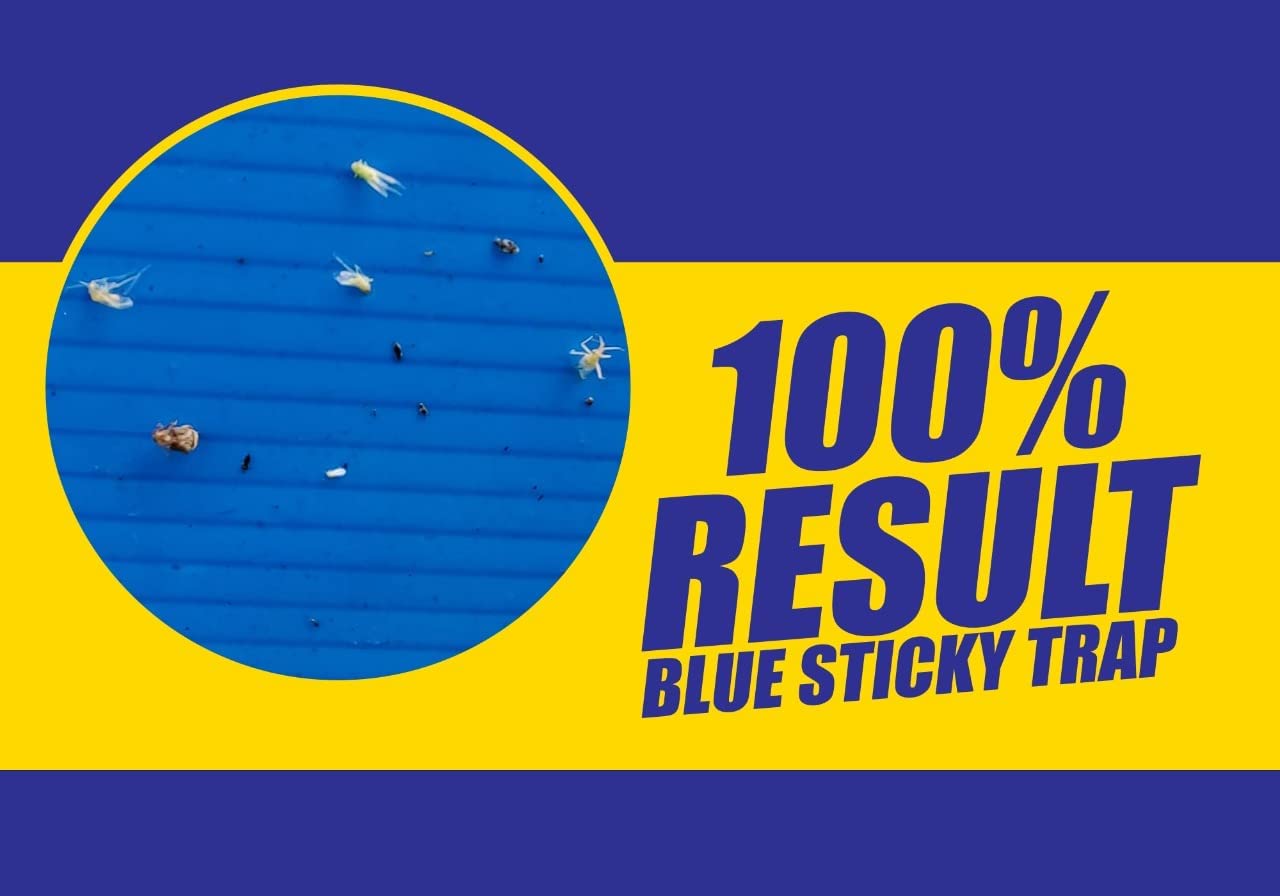 Chipku Insect Killer Blue Sticky Trap Non Toxic and Chemical Free Fly Trap/Insect Catcher/Sticky Pads for Insects, Whiteflies, Aphids, Leaf Minor, Thriphs - (Pack of 25 Pieces)