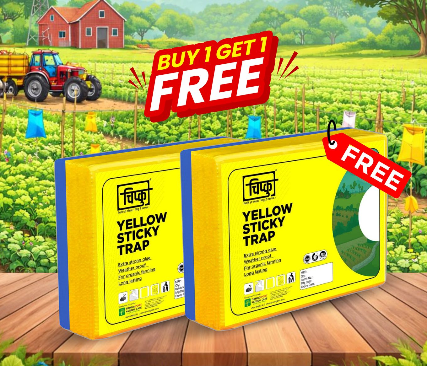 Chipku A5 Yellow & Blue Sticky Trap for Insects Pack of 25