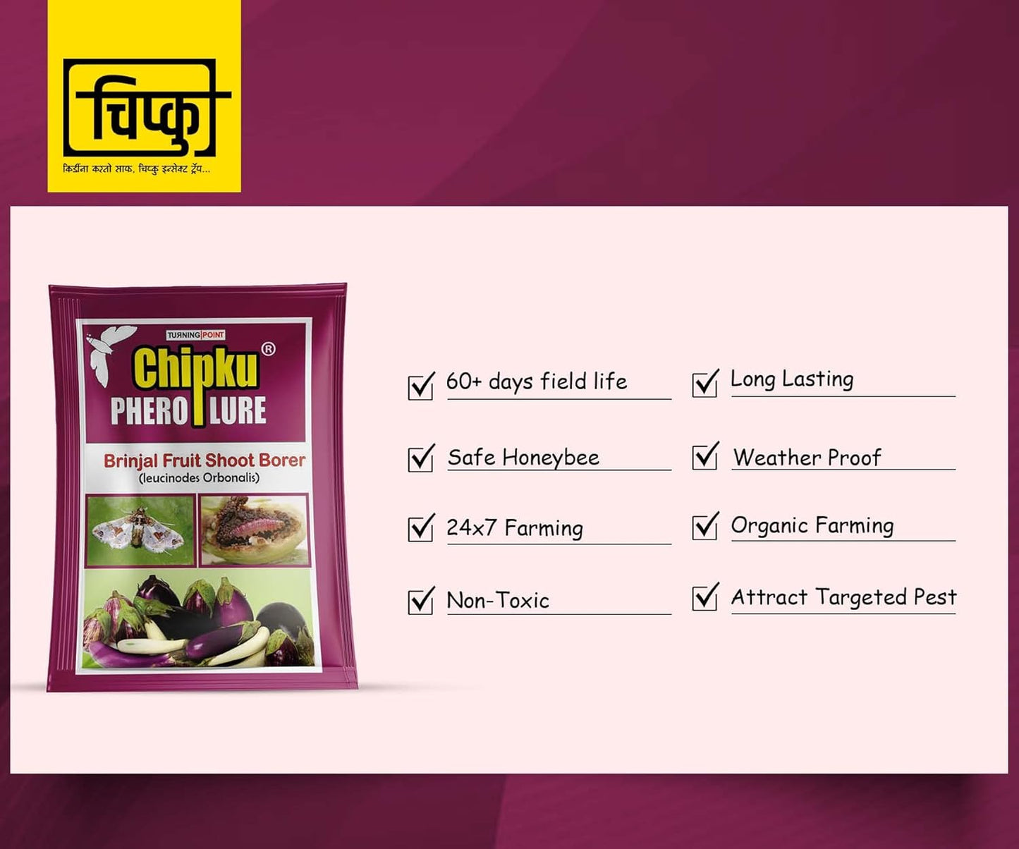 Chipku-Pheromone Lure for Brinjal Fruit Borer (Leucinodes Orbonalis) Pack of 2
