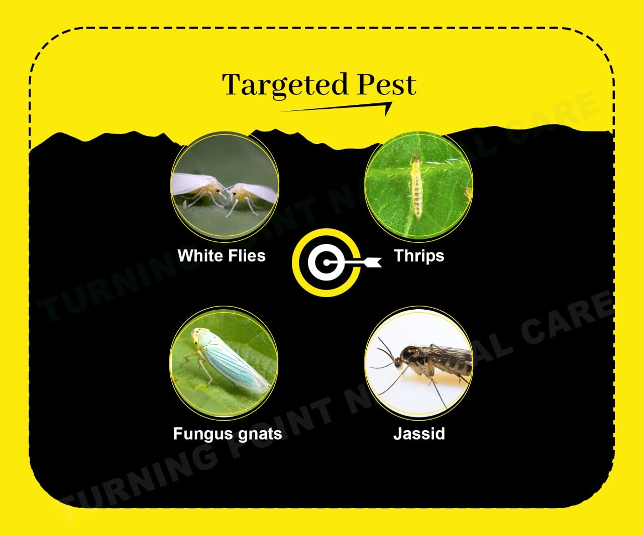 Chipku Yellow Sticky Insect Trap for Outdoor and Garden Pack of 25 Traps x 2