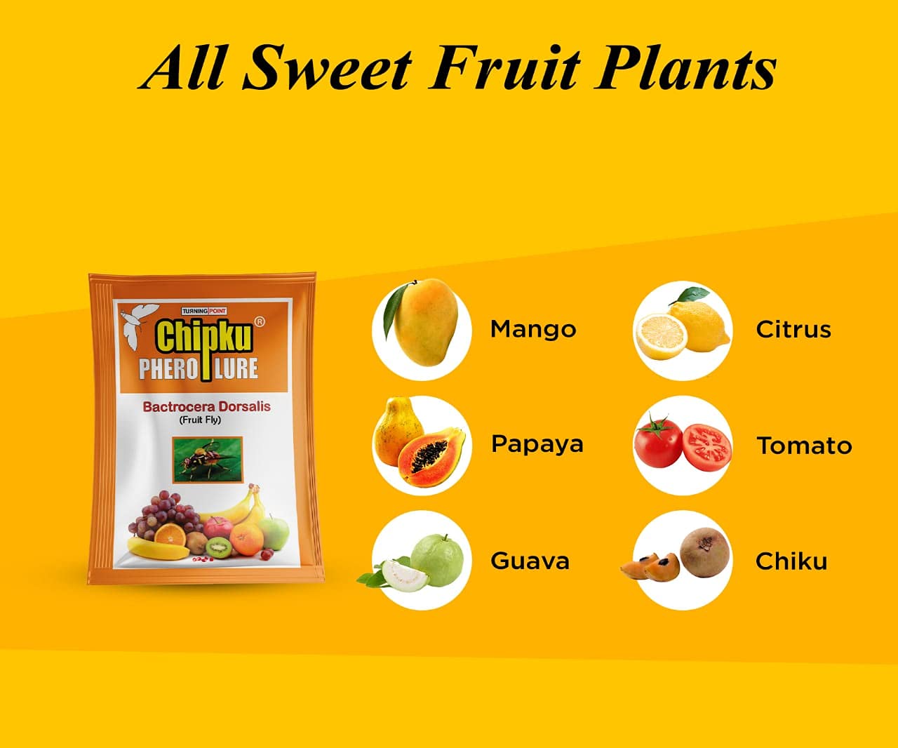 Chipku Bactocera Dorsalis Fruit Fly Outdoor Eco Pheromone Trap with Lure Useful in Mango, Papaya, Sapota, Guava, Pomegranate, Sweet Fruit - Pack of 10 Yellow