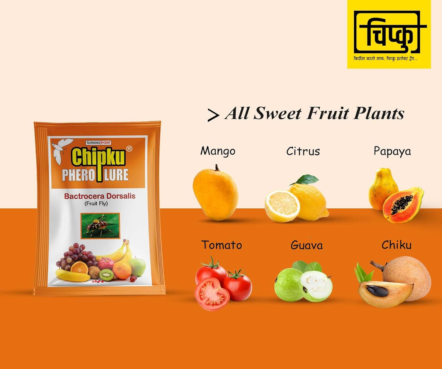 Chipku Pheromone ECOMAX Trap for Fruit Fly On Fruit Plants (Bactocera dorsalis) (Outdoor use) 2 Traps + 2 Lures