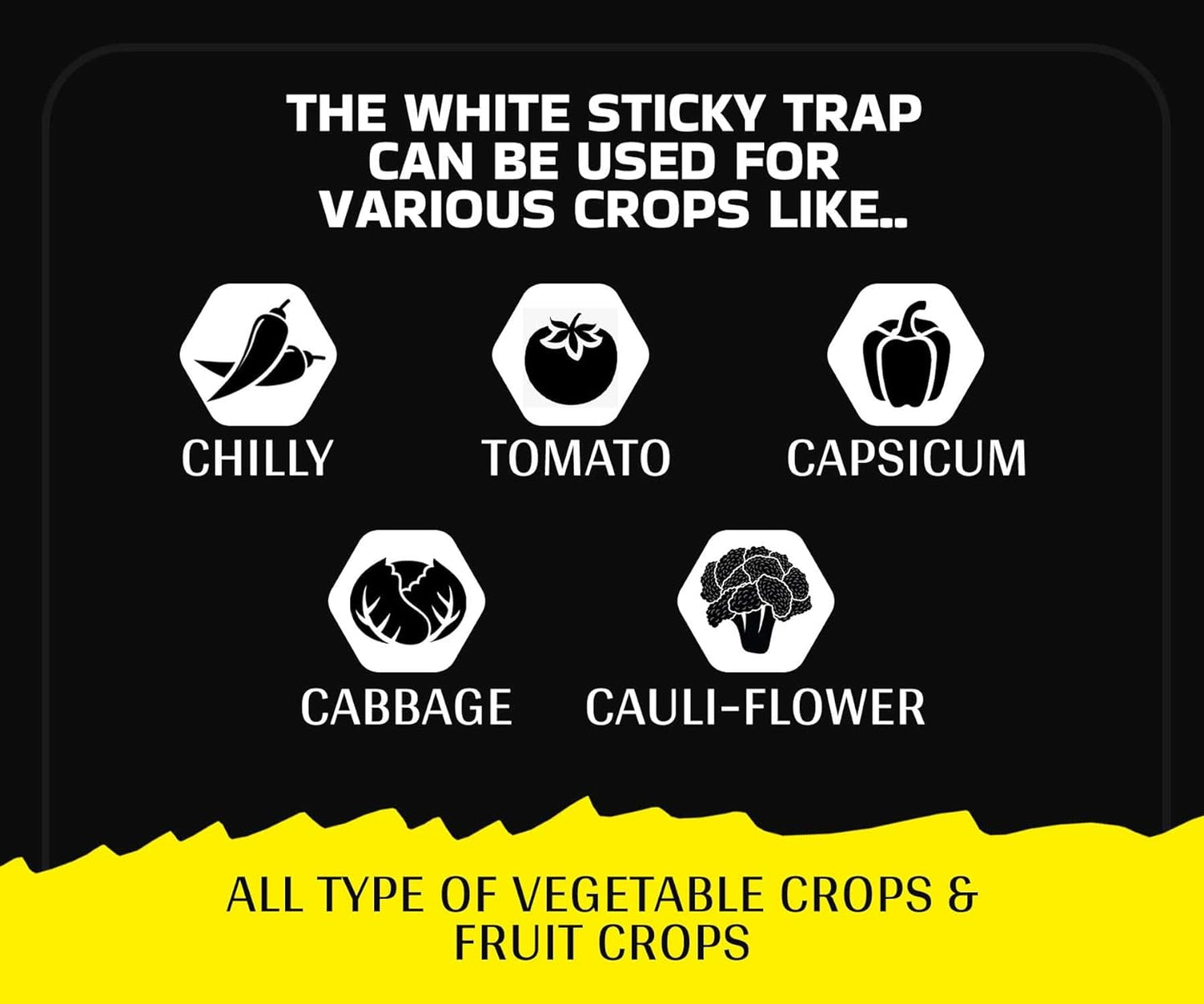 Chipku- White Sticky Trap for Smaller Insects in Garden & Farm,Black Thrips/Fly Trap/Insect Catcher/Sticky Pads for Insects, Whiteflies, Thrips (10)
