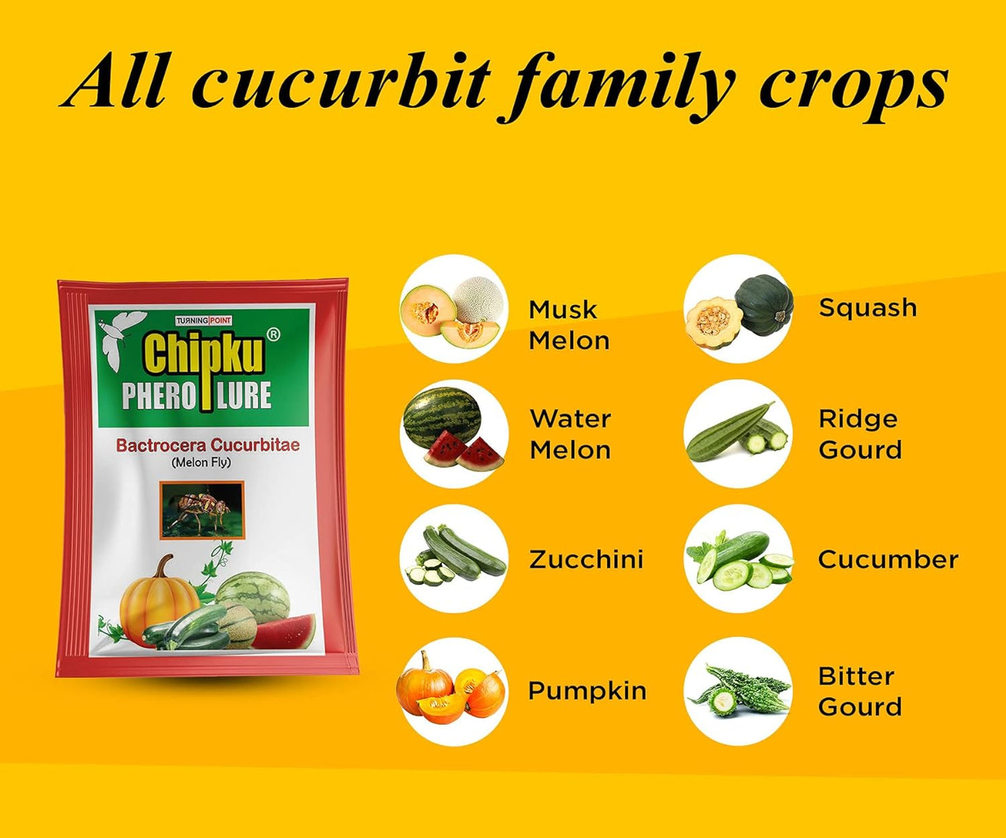 Chipku - Melon Fly Bactocera Cucurbitae Pheromone Trap Eco Trap with Melon Fly Lure Pack of 10 Green