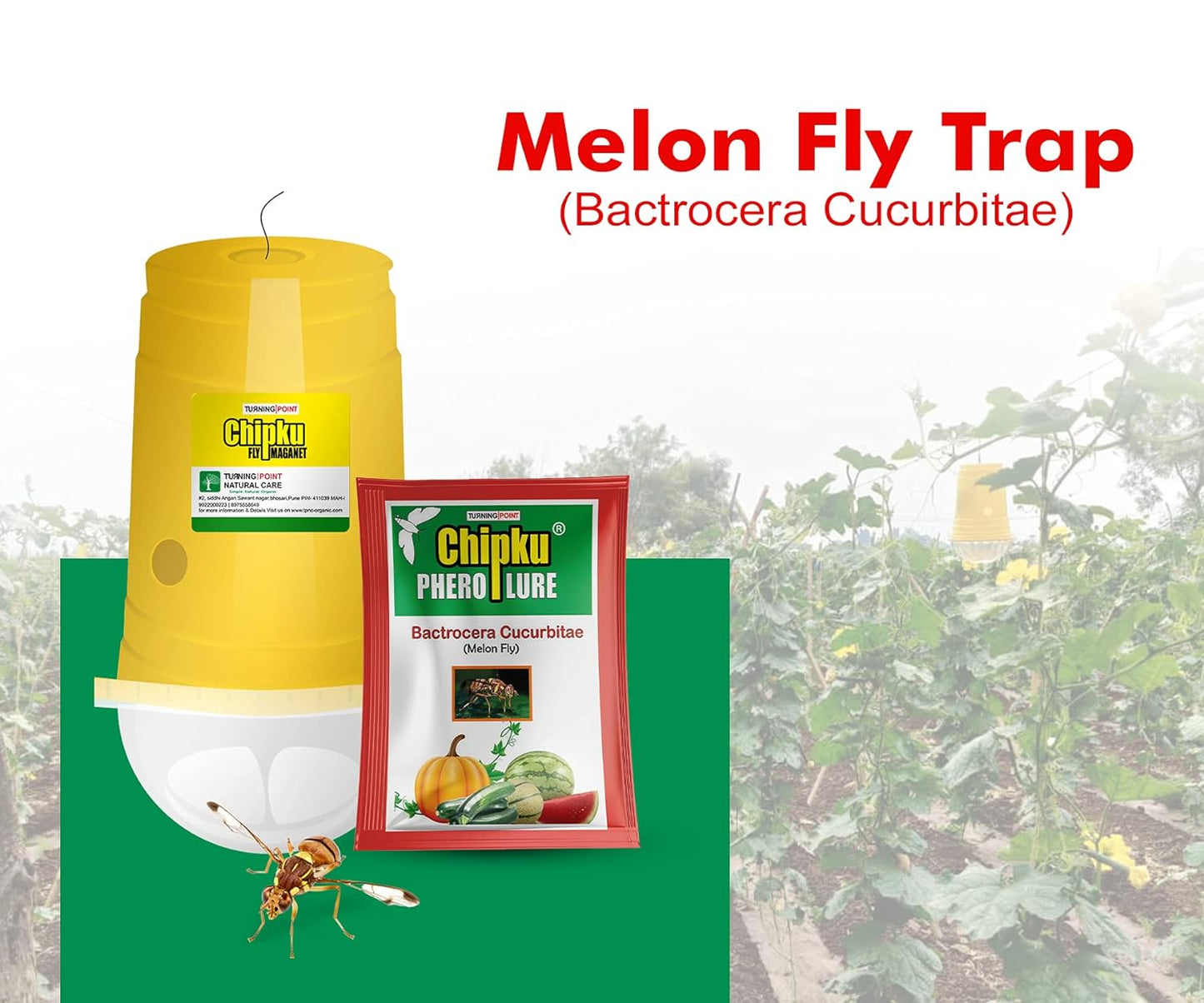 Chipku - Melon Fly Bactocera Cucurbitae Pheromone Trap Eco Trap with Melon Fly Lure Pack of 10 Green