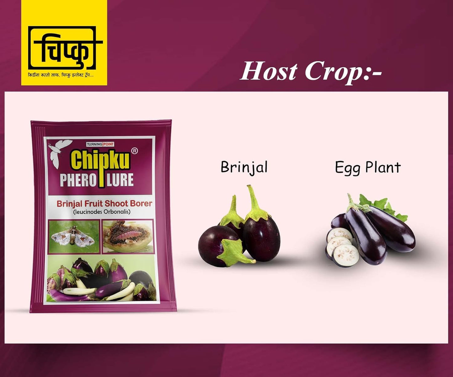 Chipku-Pheromone Lure for Brinjal Fruit Borer (Leucinodes Orbonalis) Pack of 2