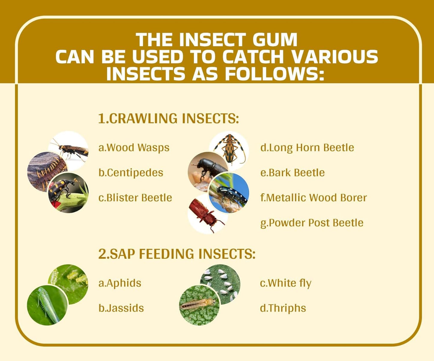 chipku- insect gum for melt adhesive for making insect trap, fly trap glue boards waterproof strong insect glue pack of 500 gram