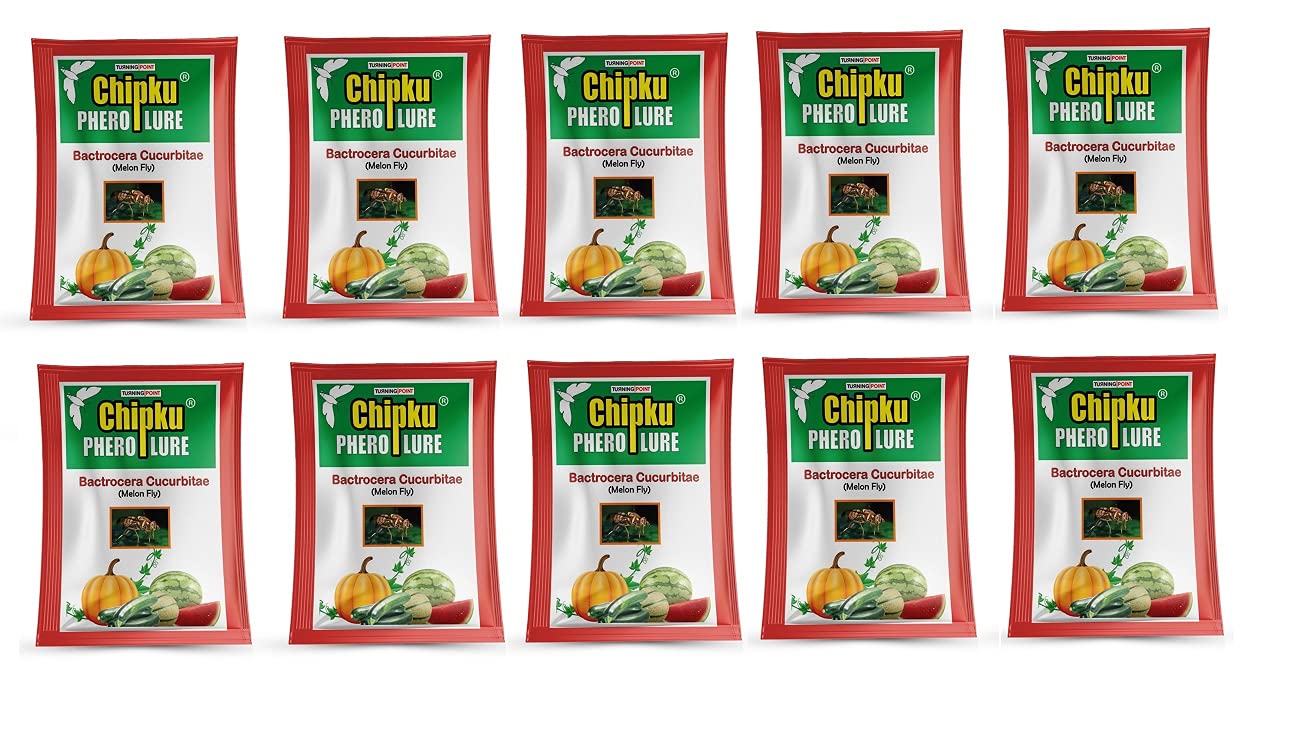 Chipku - Melon Fly Bactocera Cucurbitae Pheromone Trap Eco Trap with Melon Fly Lure Pack of 10 Green