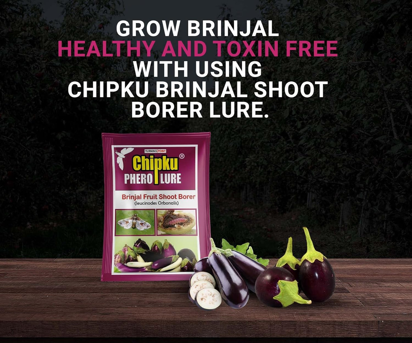 Chipku-Pheromone Lure for Brinjal Fruit Borer (Leucinodes Orbonalis) Pack of 2