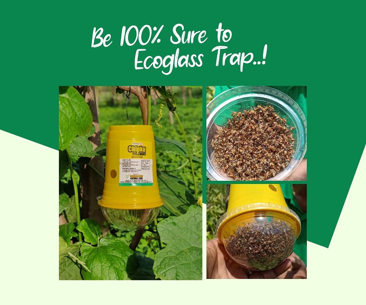 Chipku - Melon Fly Bactocera Cucurbitae Pheromone Trap Eco Trap with Melon Fly Lure Pack of 10 Green