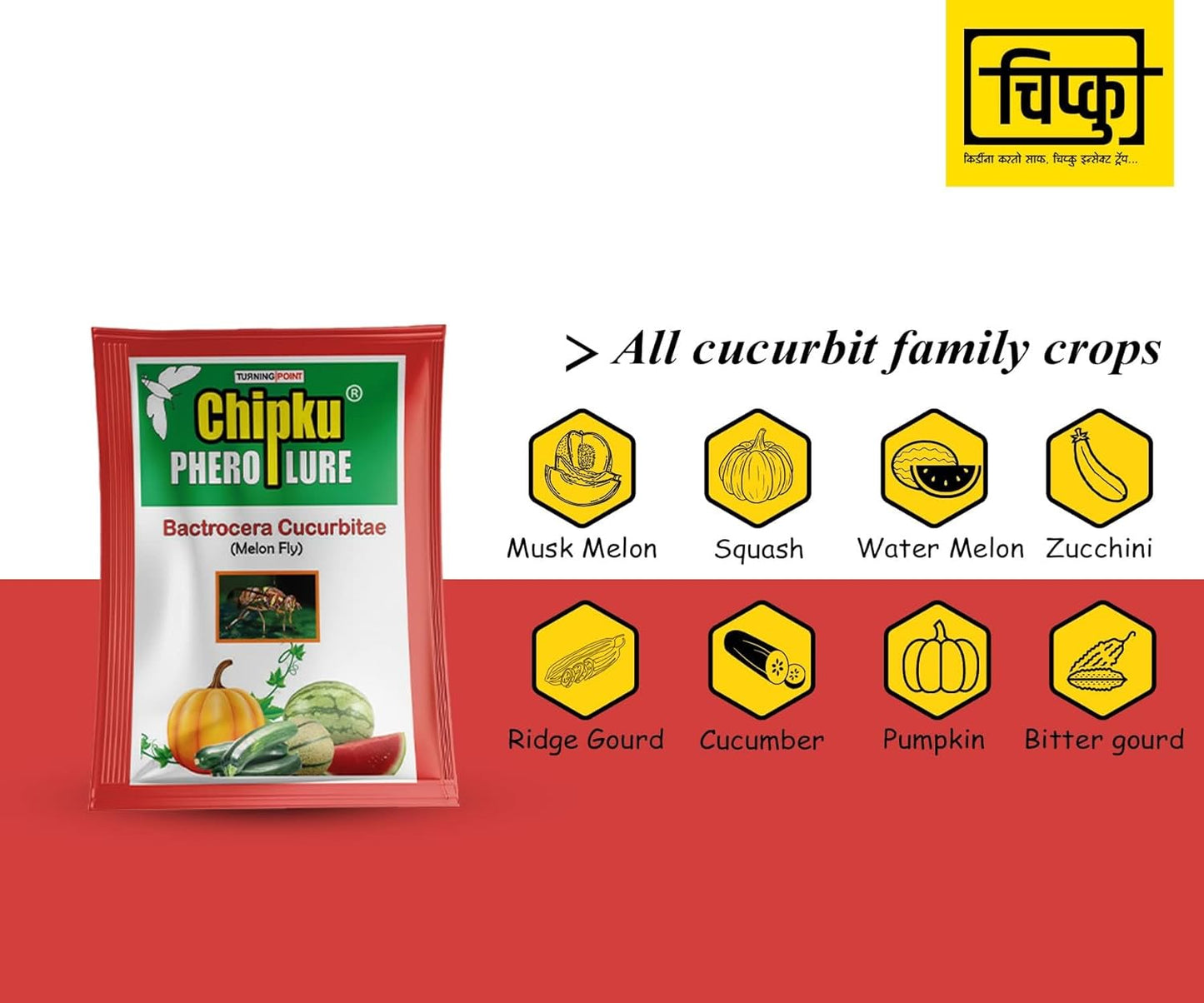 Chipku- Maxplus pheromone Trap with Melon Fly (bactocera cucurbitae) Lure for cucurbits Crops - Pack of 2