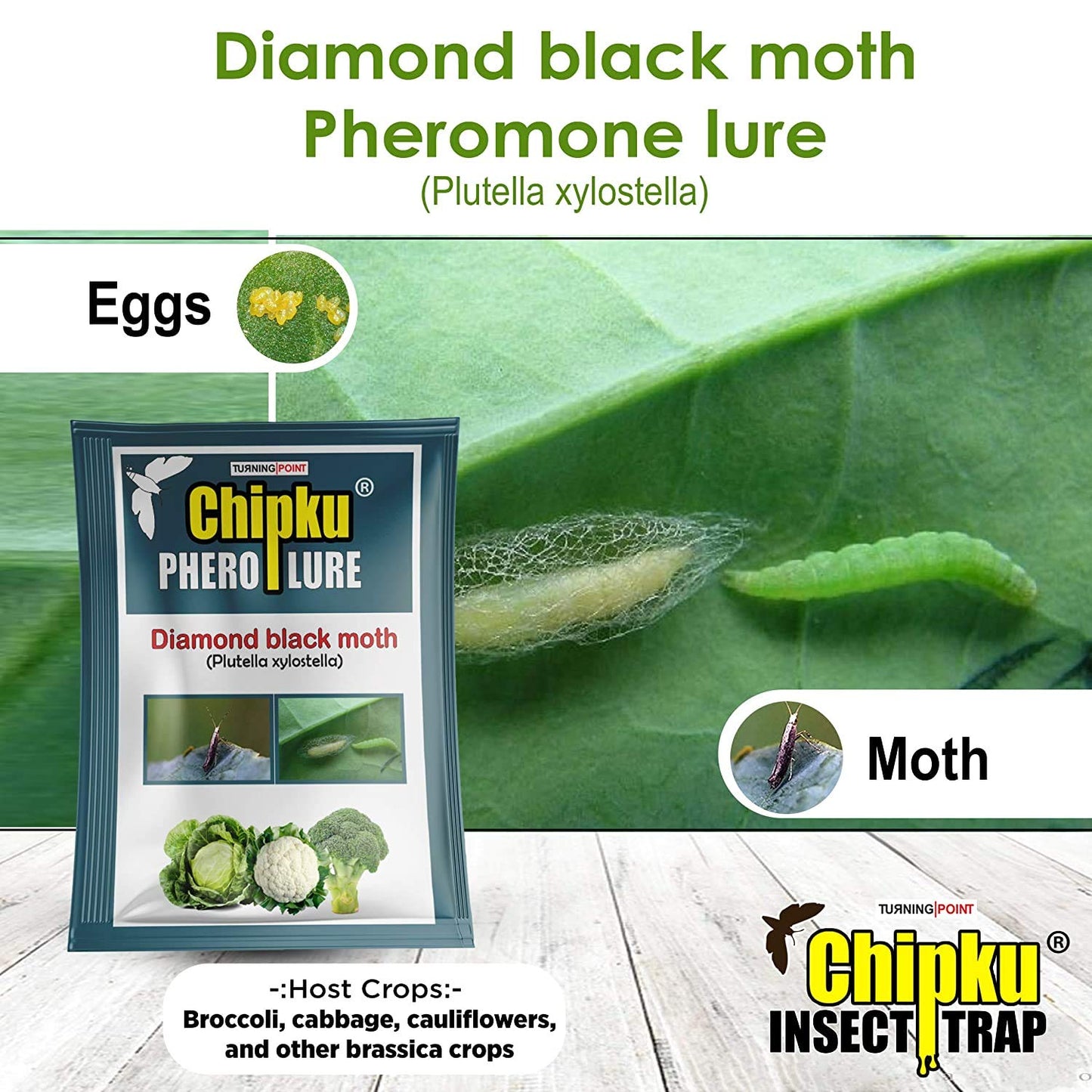 Chipku-Pheromone Lure for Insect Diamond Black Moth (DBM) (10)