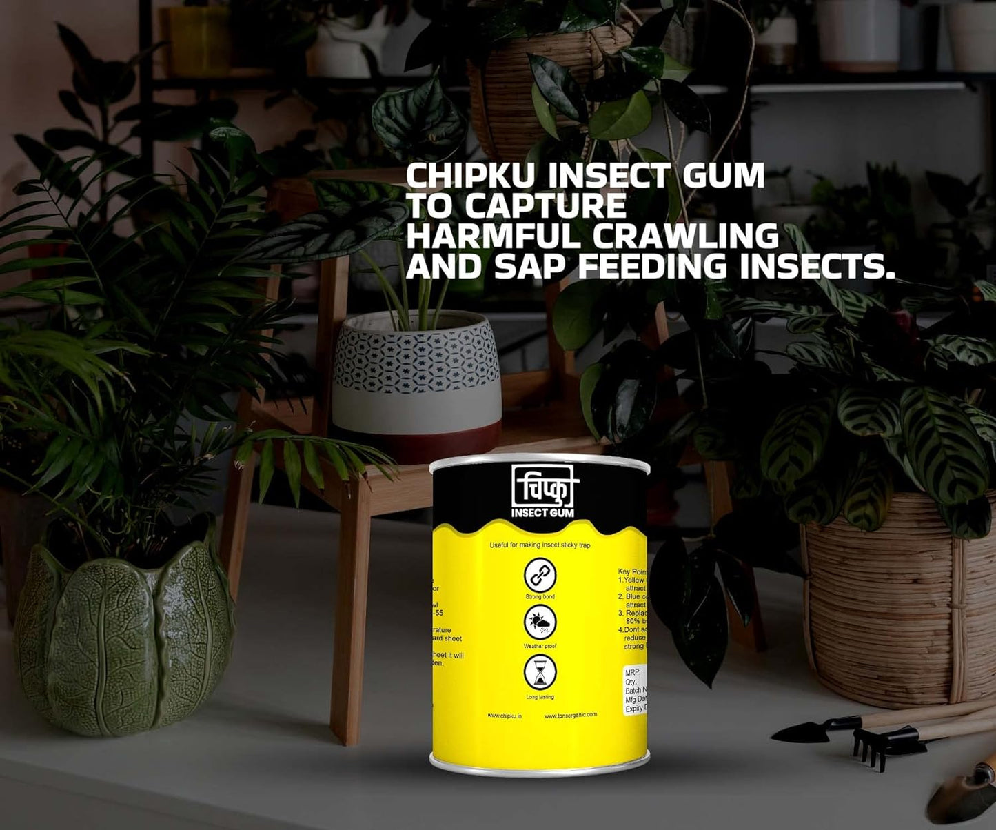 Chipku - Tree coating insect gum insect glue for tree coating with wrapping roll Tree banding sticky gum combo (pack of 1 kg with 1 roll)