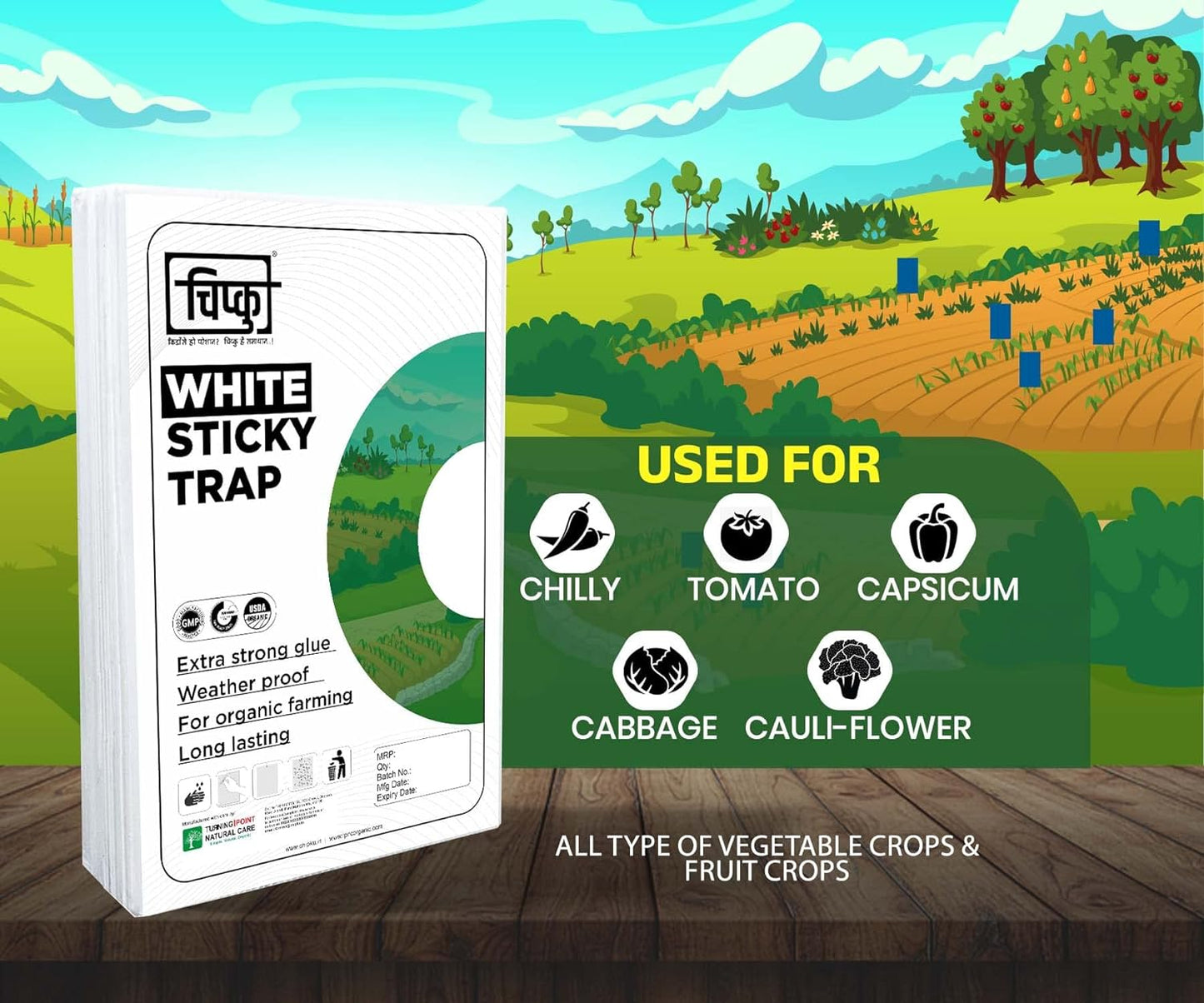 Chipku ® White Non Toxic and Chemical Free Fly Trap Insect Catcher Sticky Trap- (A4 White 50)