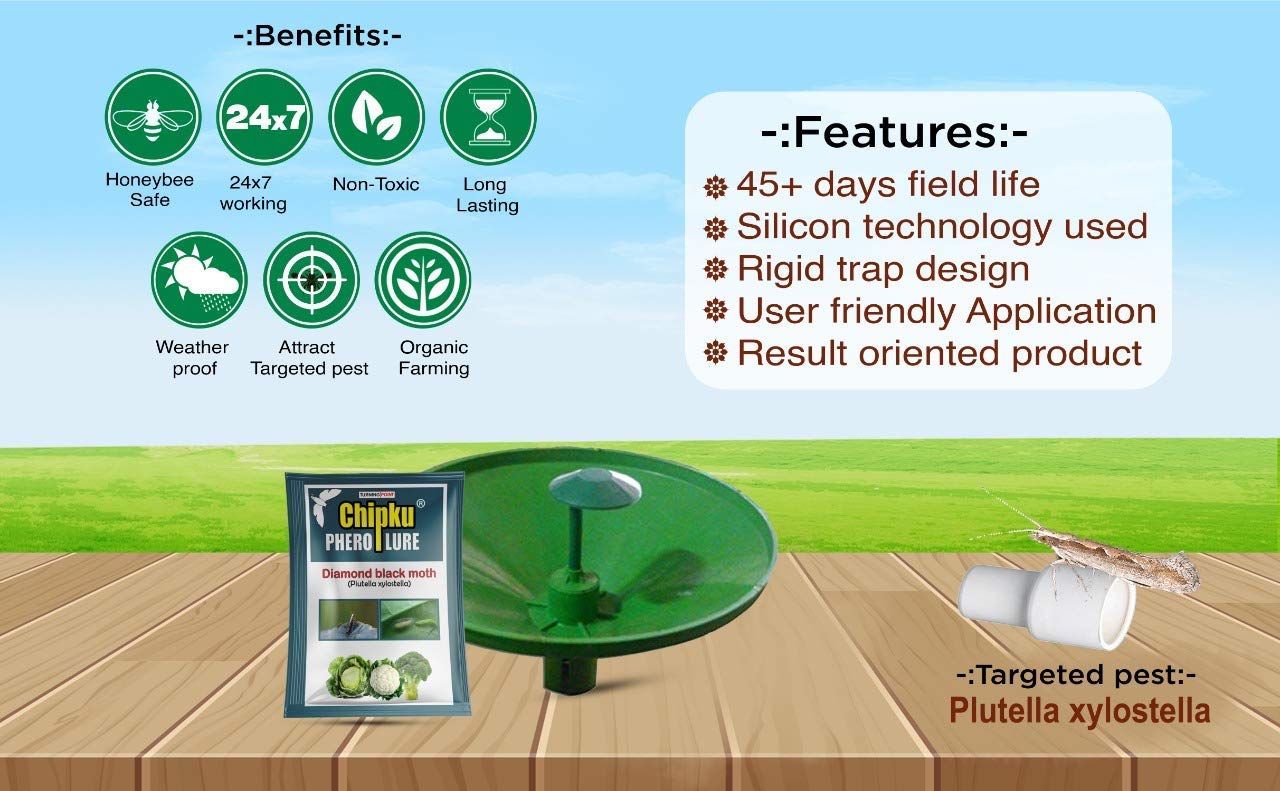 Chipku-Pheromone Lure for Insect Diamond Black Moth (DBM) (10)