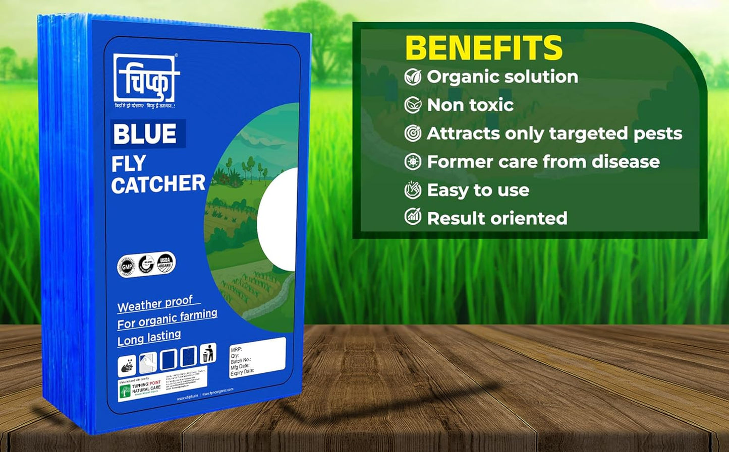 Chipku Blue Fly Catcher for Farming Gardening Sticky Trap for Harmful Insect, White Fly, Insect Trap, Glue Trap (A4 200X300MM Blue, Pack of 10)