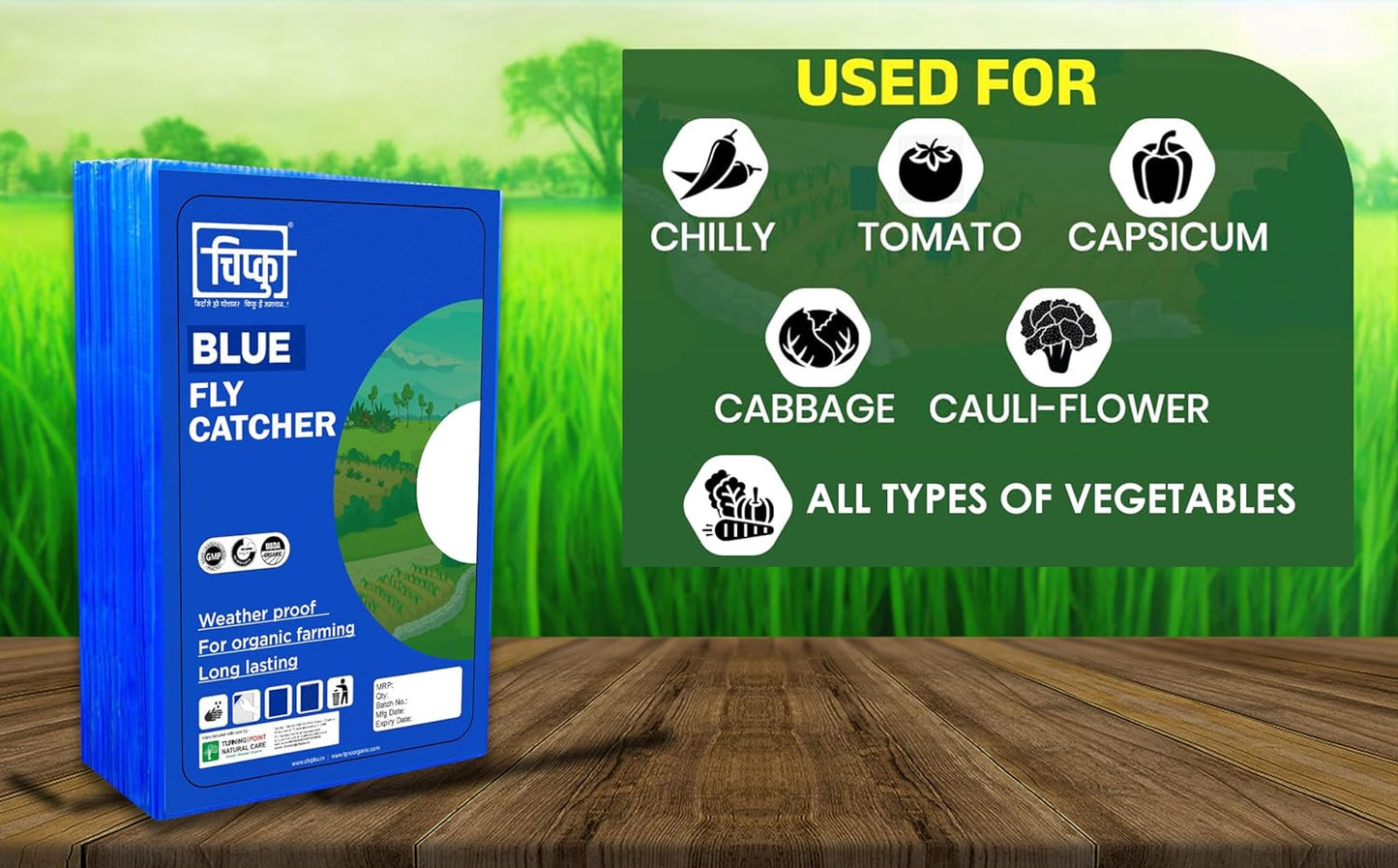 Chipku Blue Fly Catcher for Farming Gardening Sticky Trap for Harmful Insect, White Fly, Insect Trap, Glue Trap (A4 200X300MM Blue, Pack of 10)