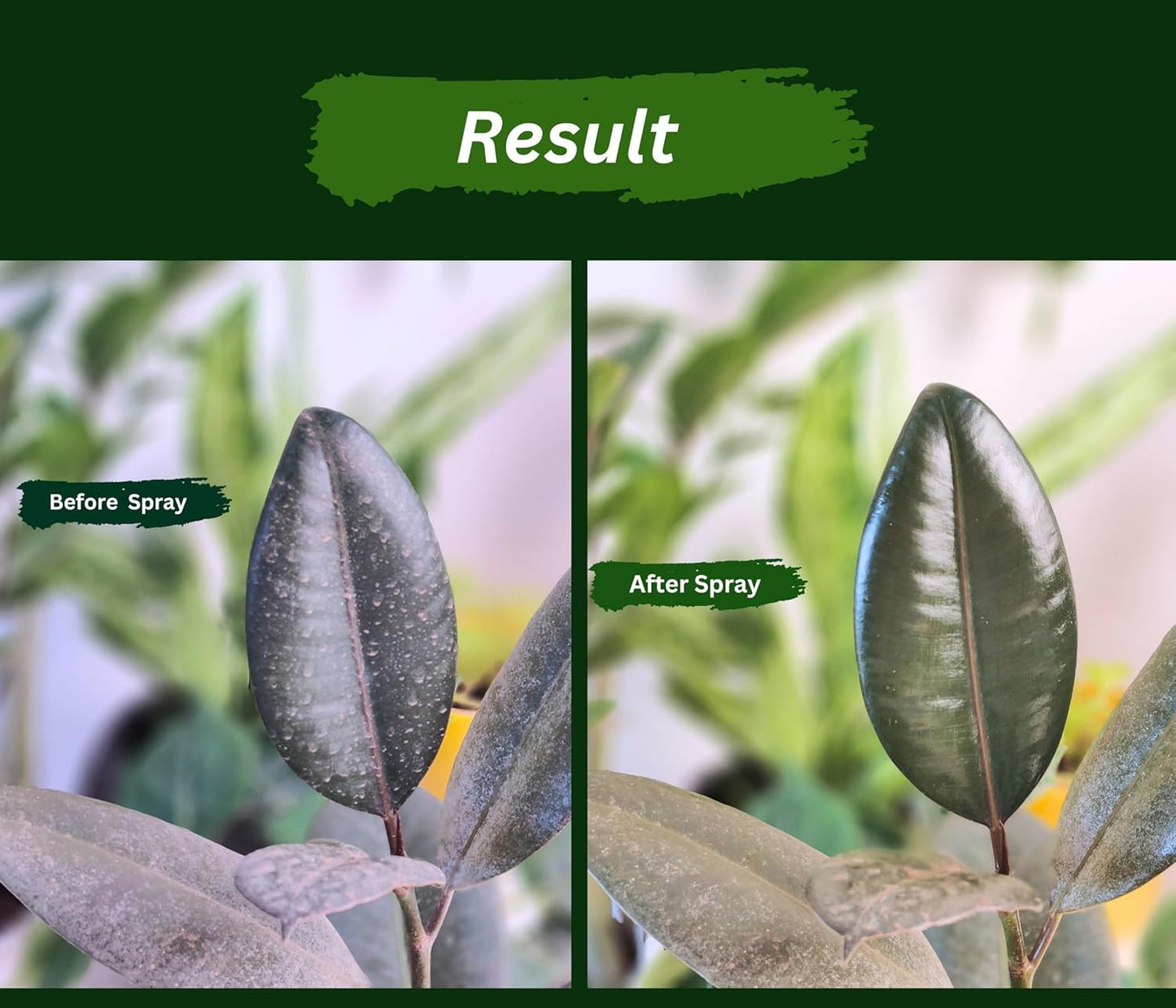 Chipku Neem oil Ready to Use 200ml Pack of 2 Organic Cold Pressed Neem Oil Spray for Indoor and Outdoor Plants | Removes Mealybugs, Fungus, Aphids, Mites and Other Pests from plants