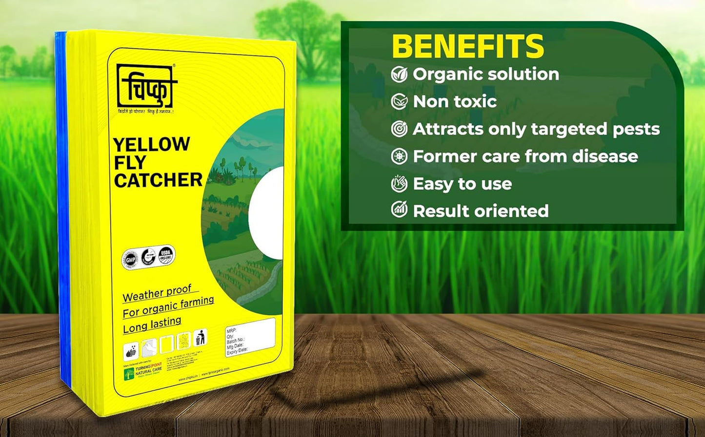 Chipku Yellow+Blue Fly Catcher for Farming Gardening Sticky Trap - 50 sheet
