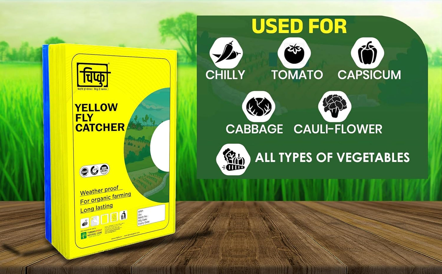 Chipku Yellow+Blue Fly Catcher for Farming Gardening Sticky Trap - 50 sheet