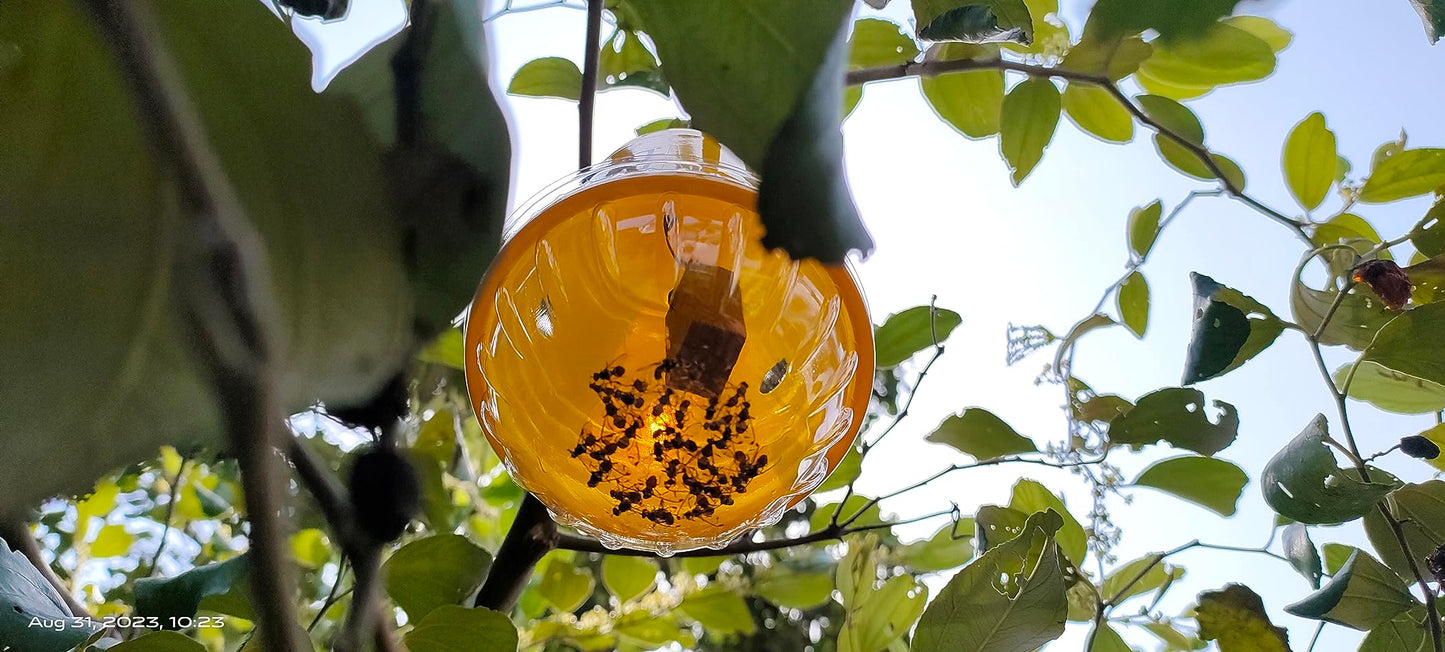 Chipku - Melon Fly Bactocera Cucurbitae Pheromone Trap Eco Trap with Melon Fly Lure Pack of 10 Green