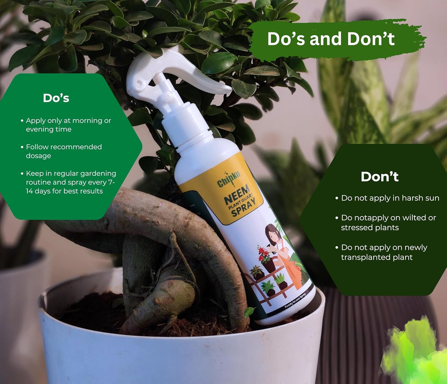 Chipku Neem oil Ready to Use 200ml Pack of 2 Organic Cold Pressed Neem Oil Spray for Indoor and Outdoor Plants | Removes Mealybugs, Fungus, Aphids, Mites and Other Pests from plants