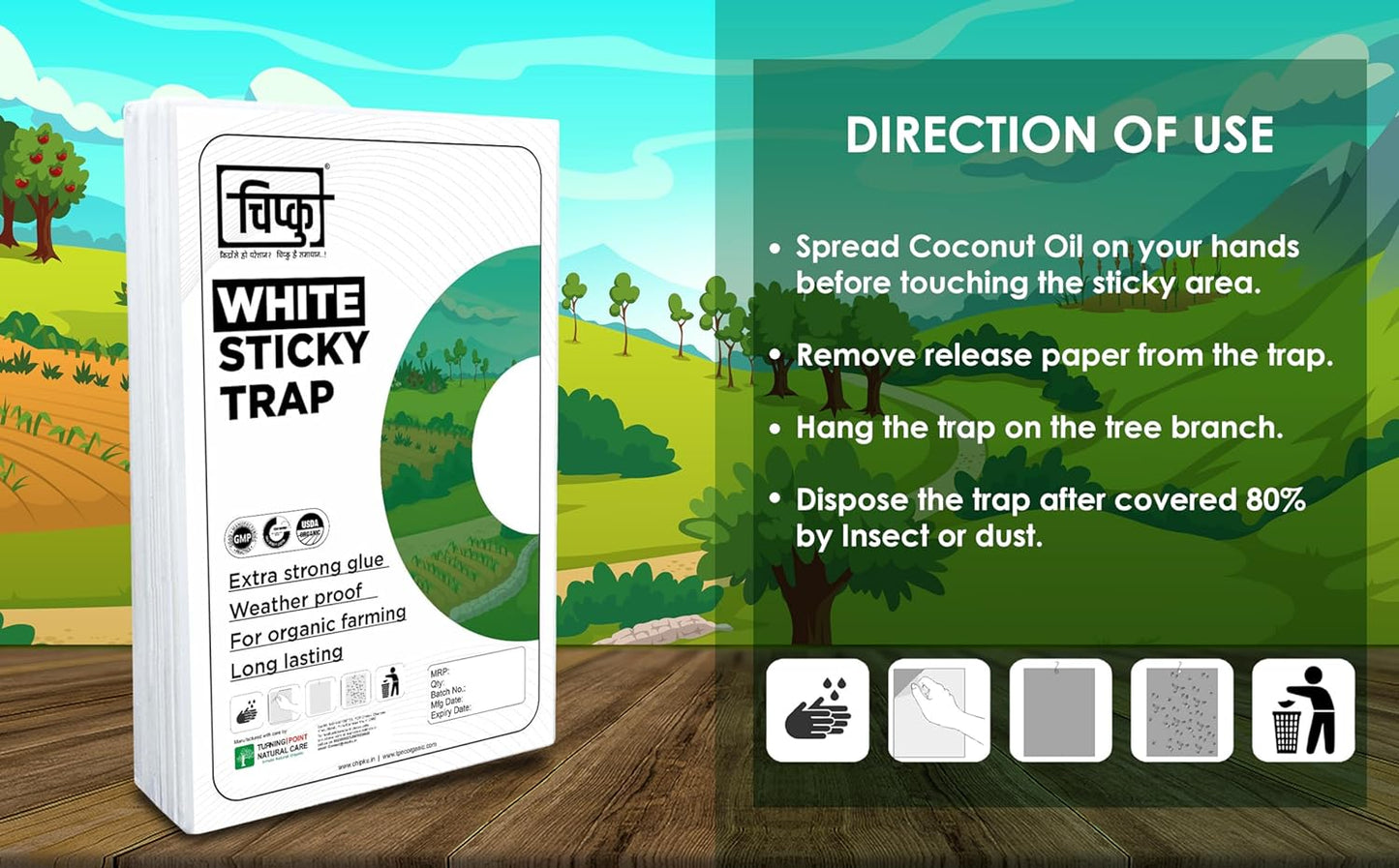 Chipku ® White Non Toxic and Chemical Free Fly Trap Insect Catcher Sticky Trap- (A4 White 50)