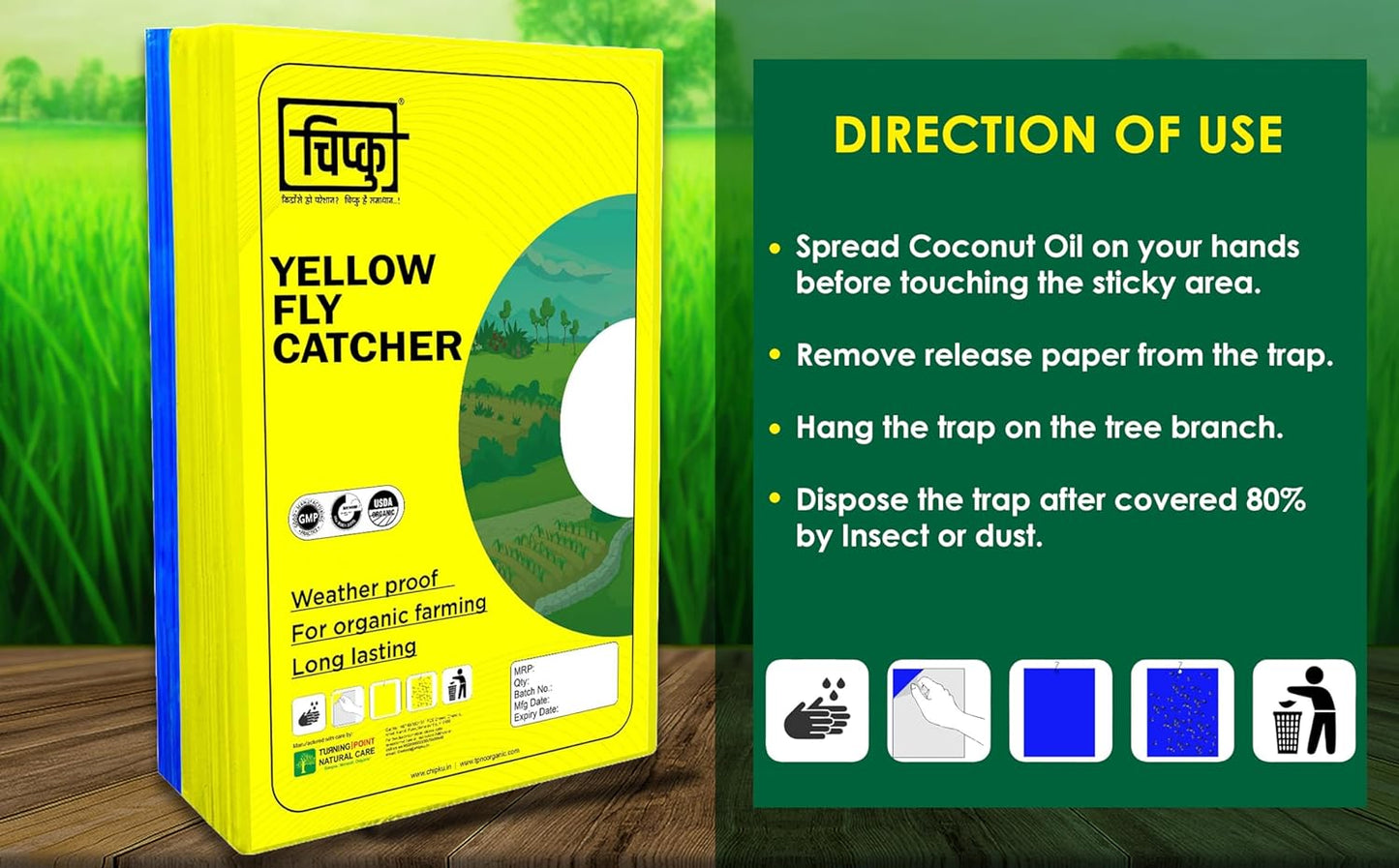 Chipku Yellow+Blue Fly Catcher for Farming Gardening Sticky Trap - 50 sheet