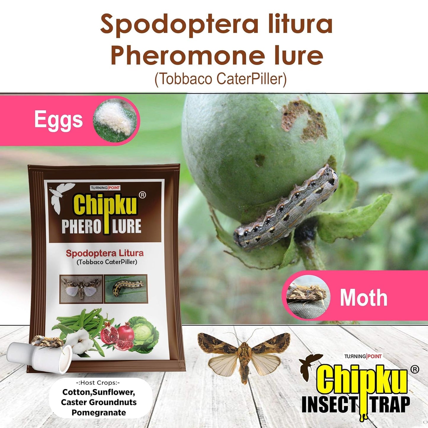 Chipku- Pheromone Trap Funnel with Spodoptera Litura Lure for Catch Insect/Moth of Tobacco Caterpillar (spodo) (Spodoptera Litura) (10)
