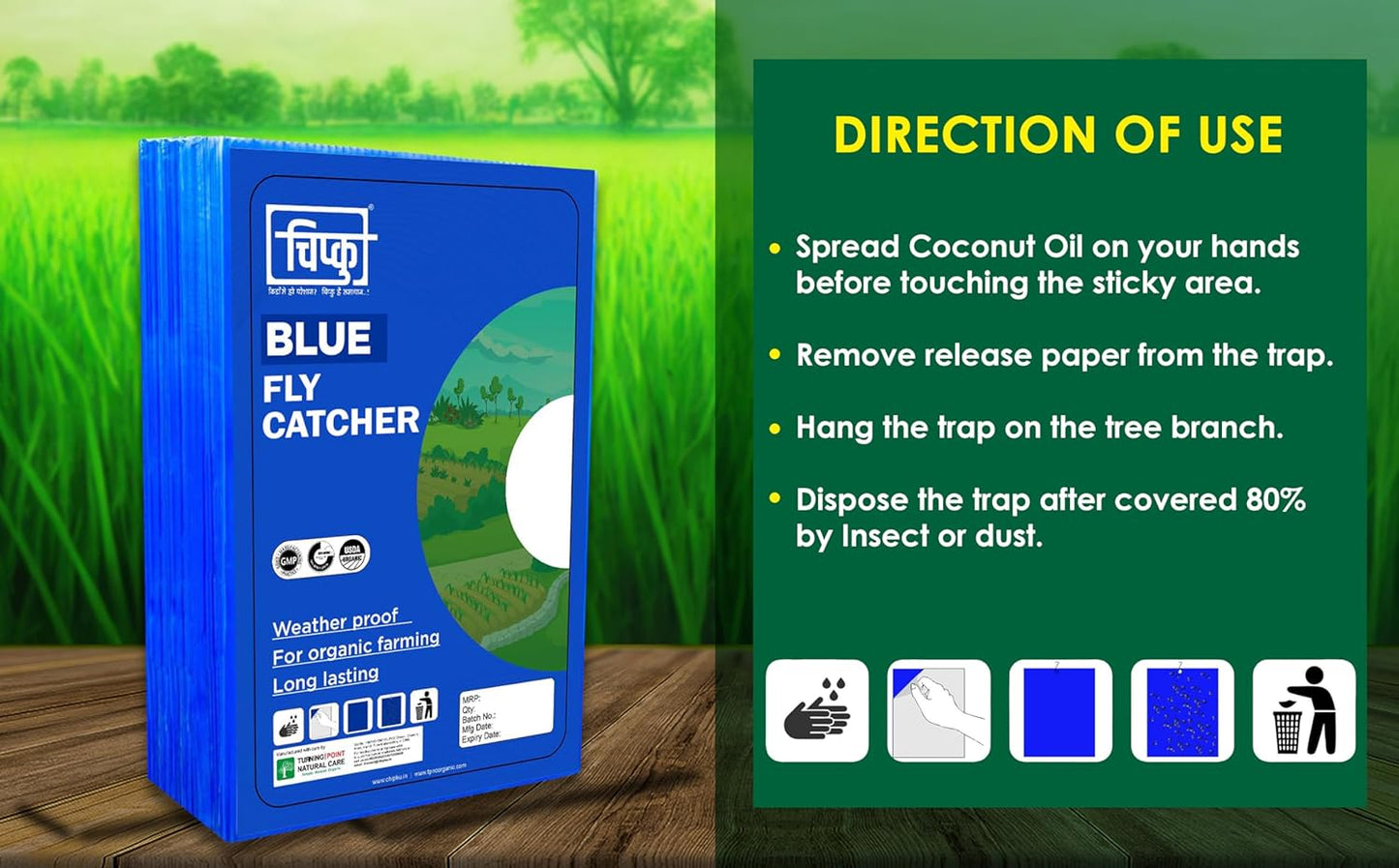 Chipku Blue Fly Catcher for Farming Gardening Sticky Trap for Harmful Insect, White Fly, Insect Trap, Glue Trap (A4 200X300MM Blue, Pack of 10)