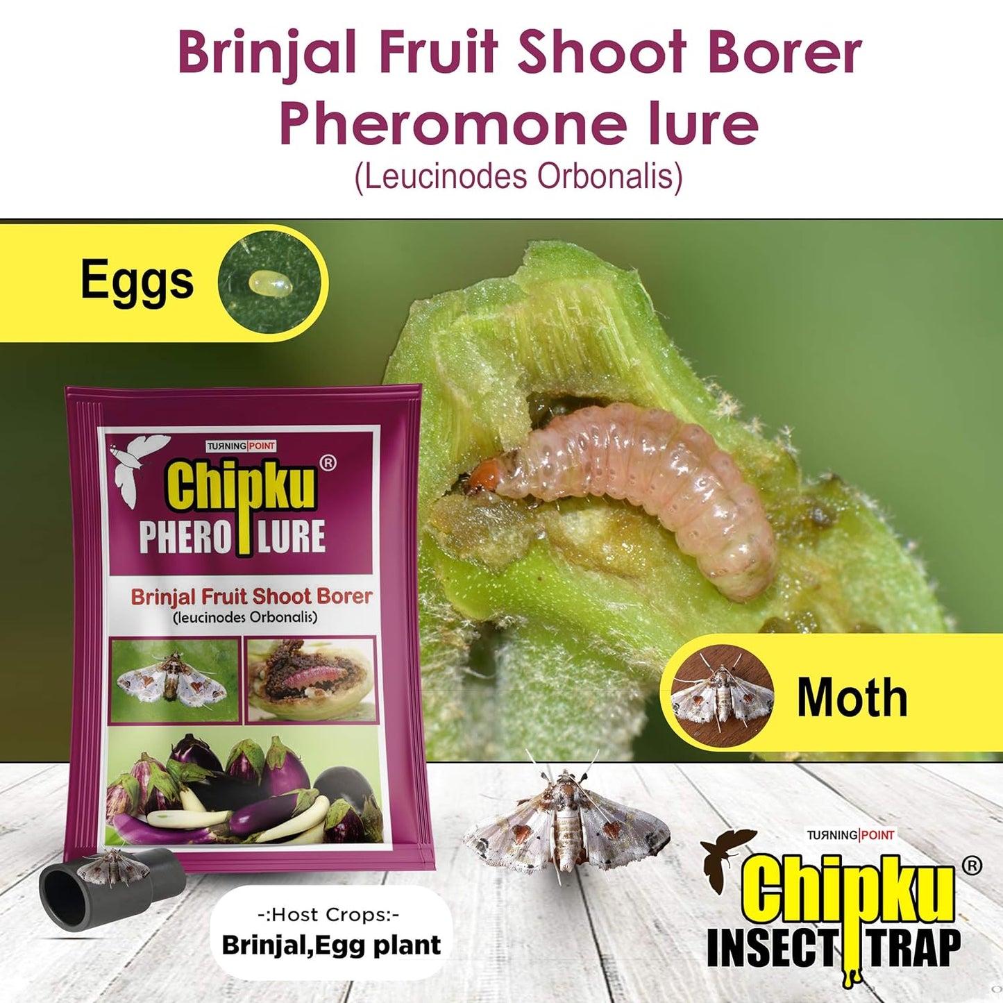 Chipku-Pheromone Lure for Brinjal Fruit Borer,r Leucinodes Orbonalis Pack Of 10 Lures