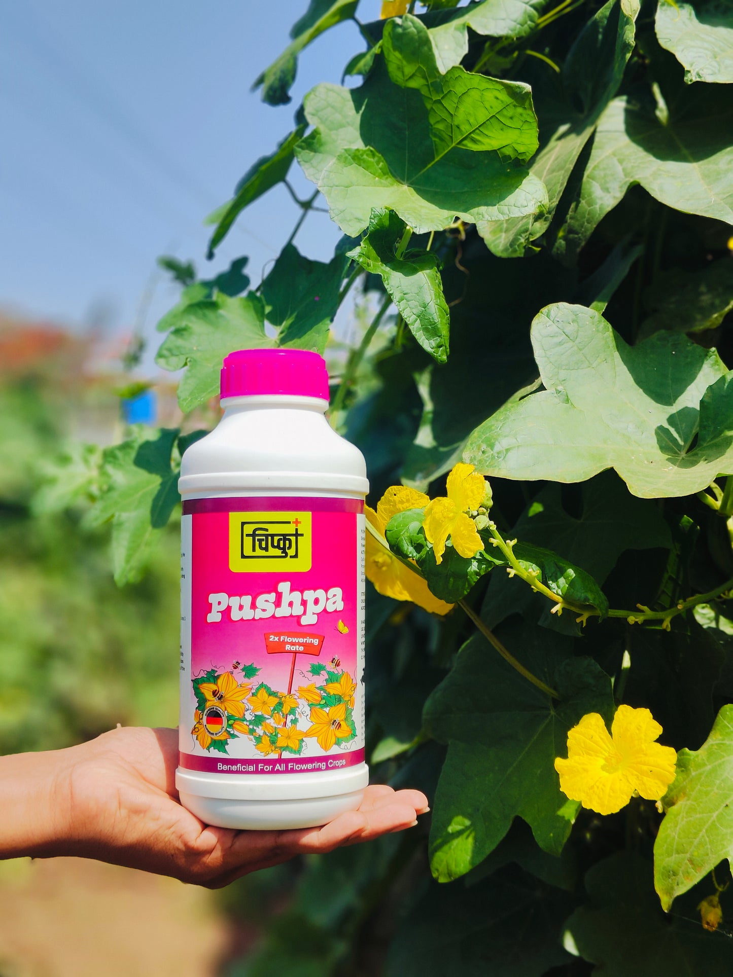 Chipku - Pushpa plant fertilizer to induce flowering and fruit setting 500 ml