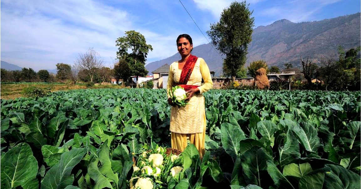 The Importance of Organic Farming in India