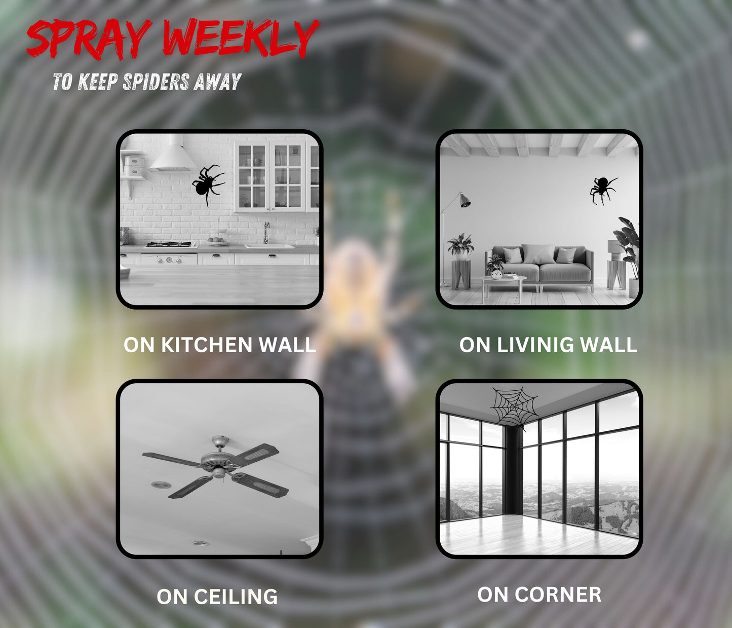 Amish -A Eco-Friendly Spider Repellent Spray