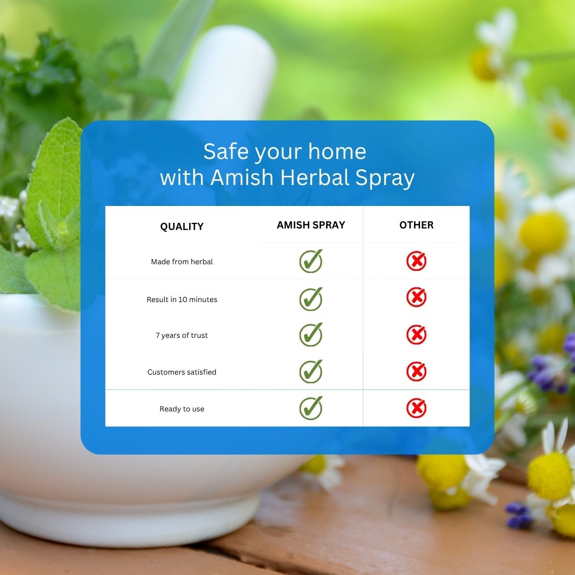 Amish A Eco-Friendly Ant Repellent Spray for Home - pack of 2