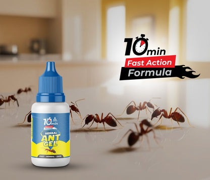 Amish A Eco-Friendly Ant Repellent for Home