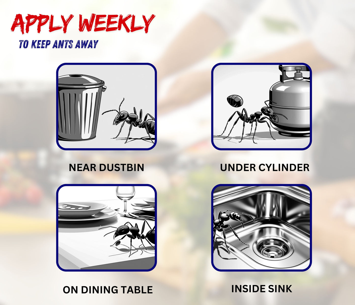 Amish A Eco-Friendly Ant Repellent for Home