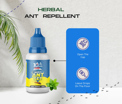 Amish A Eco-Friendly Ant Repellent for Home