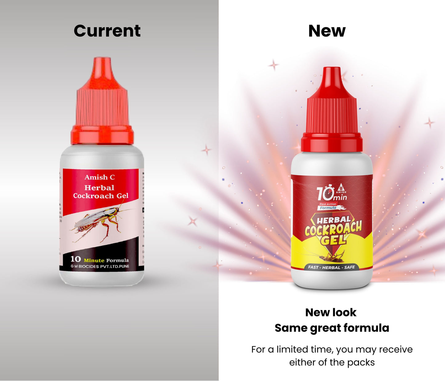 Amish C Eco Friendly Cockroach Bait gel 30g combo pack for Home