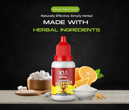 Amish C Eco Friendly Cockroach Bait gel 30g combo pack for Home