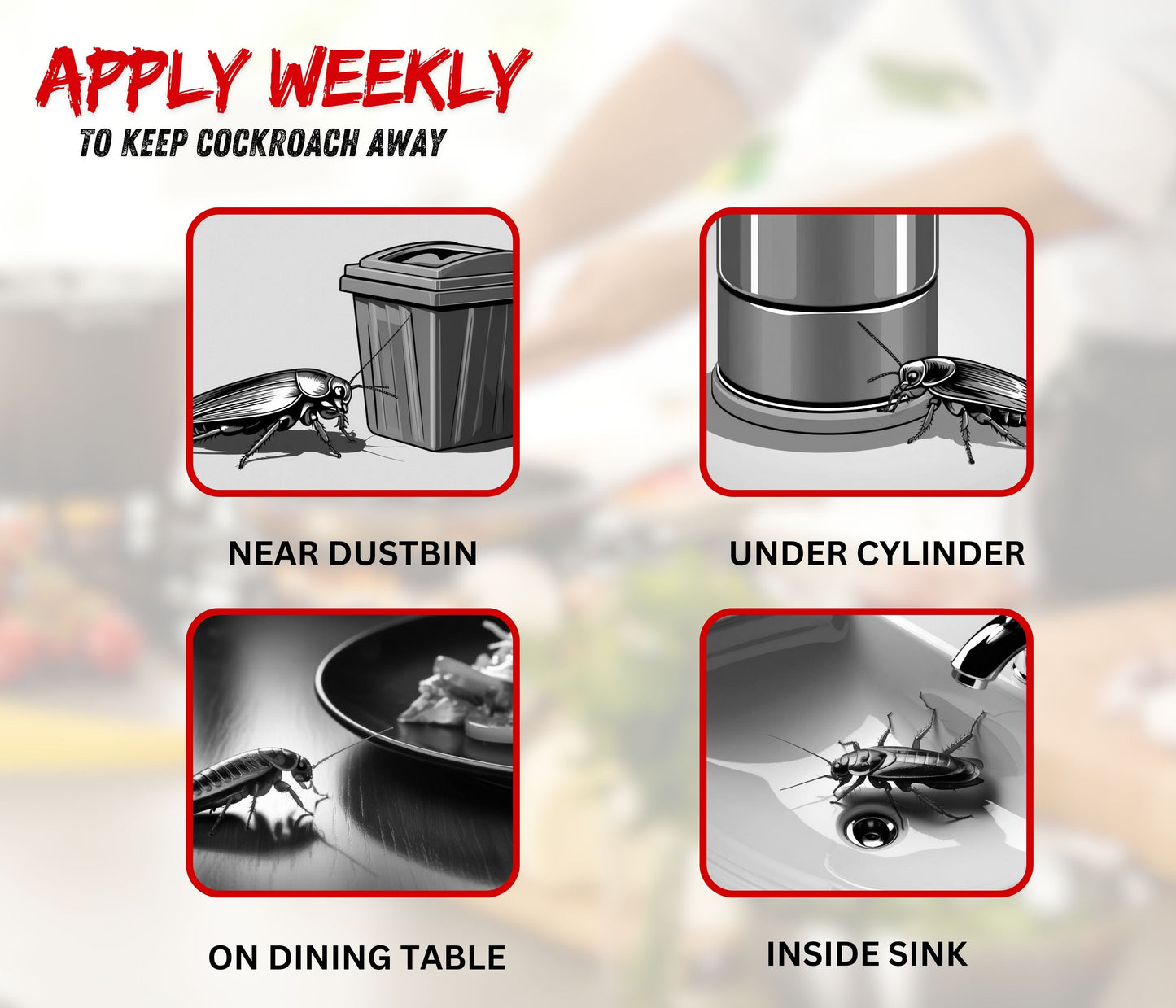 Amish C Eco Friendly Cockroach Bait gel 30g combo pack for Home