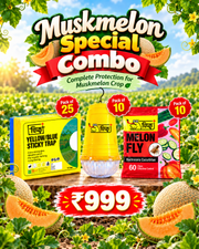 Muskmelon Special Combo(Sticky Trap + Glass10+Melon Fly 10)