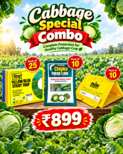 Cabbage Special Combo ( Sticky Trap + DBM 10+ Delta Trap Pack of 5*2)