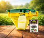 Chipku Funnel Trap with Spodoptera Litura Lure