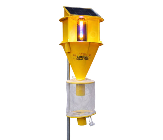 Chipku Bahubali Solar Trap